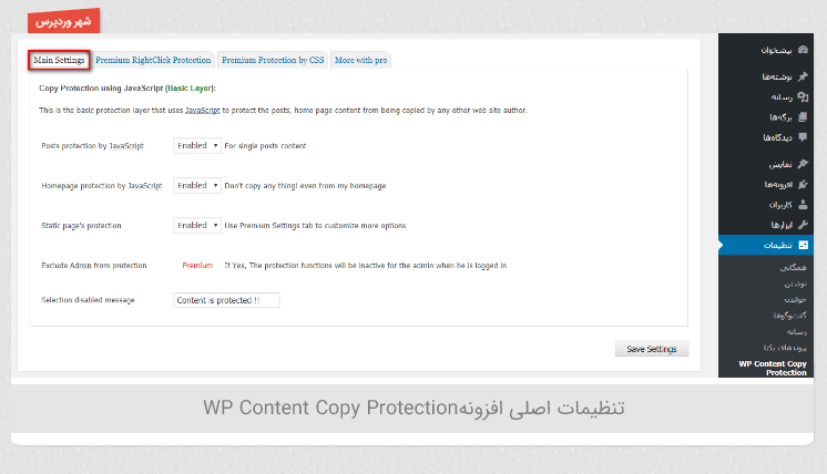 تنظیمات اصلی افزونه WP Content Copy Protection